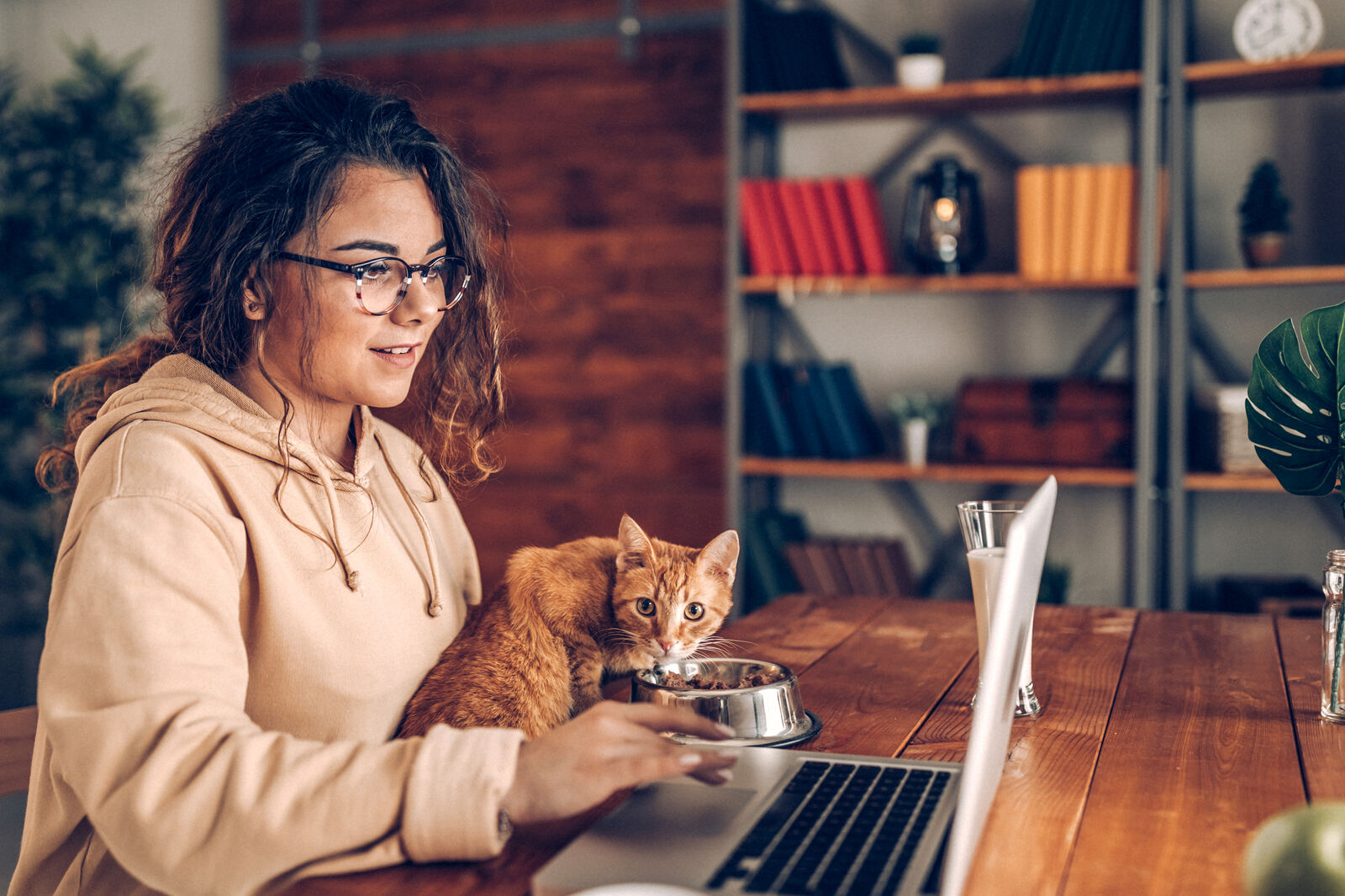 Woman on the laptop with her cat at home